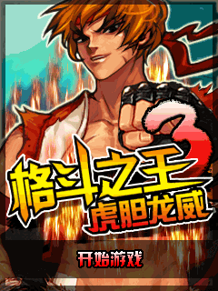 格斗之王3虎胆龙威 封面