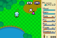 Tiny Chao Garden 迷你养鸡场画面